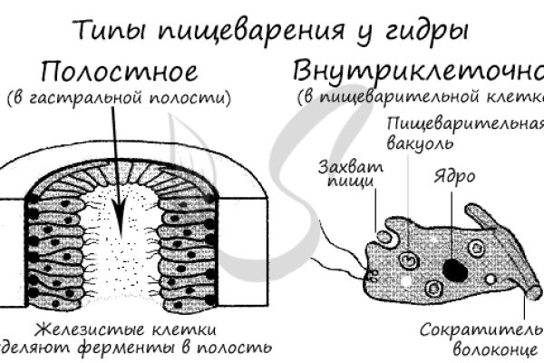 Купить гашиш