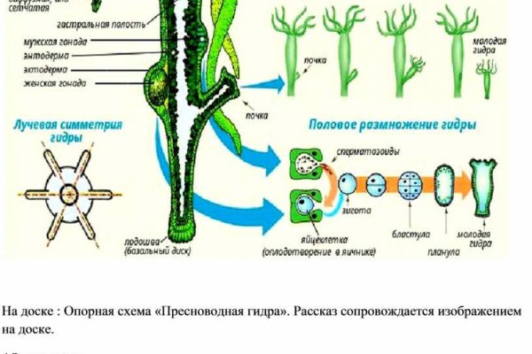 Кракен рабочая ссылка kramp.cc