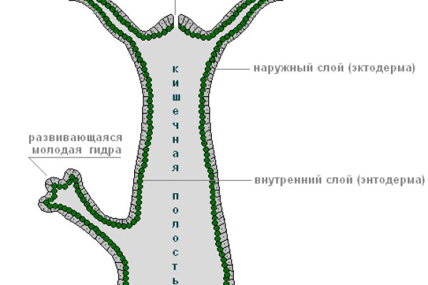 О сайте блэкспрут