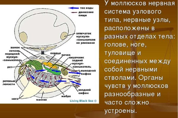 Кракен вход ссылка