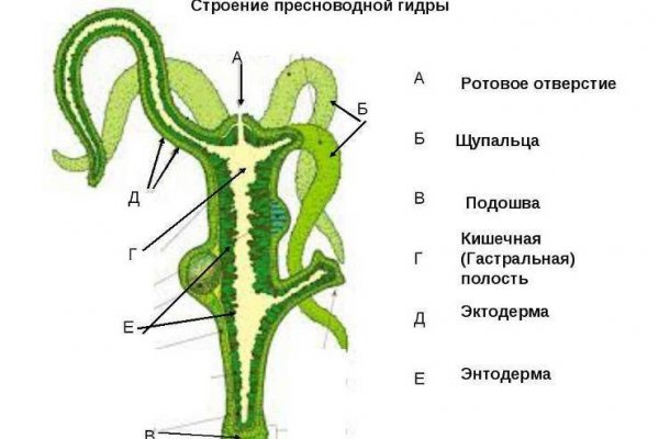 Ссылка онион BlackSprut