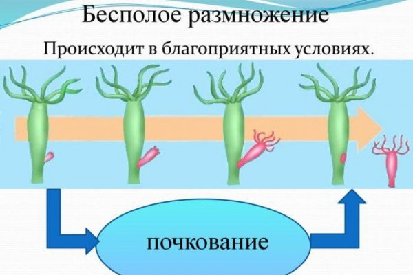 Почему не работает кракен в тор